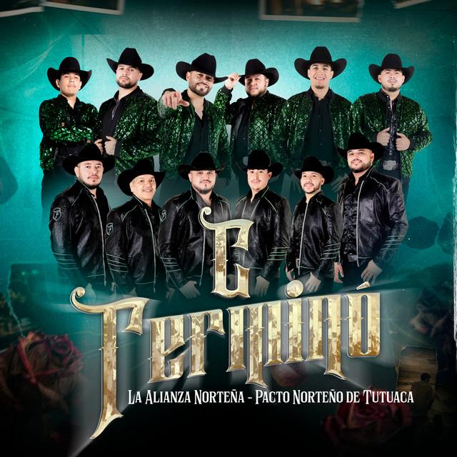 C Terminó cover art