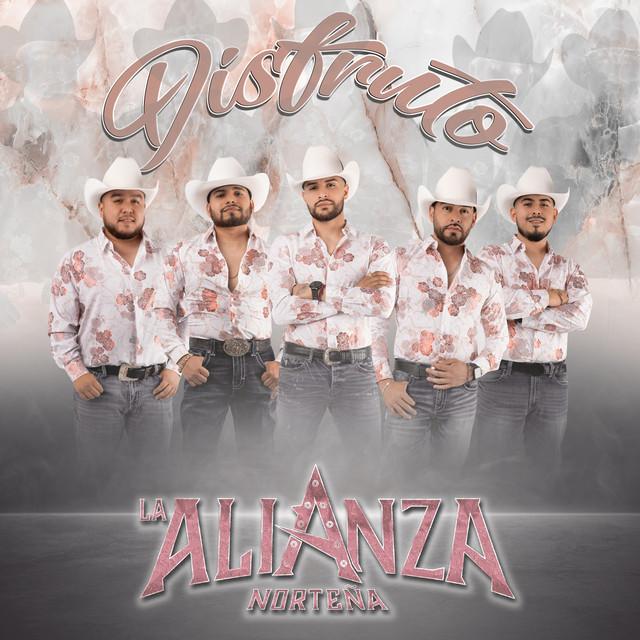 Disfruto cover art